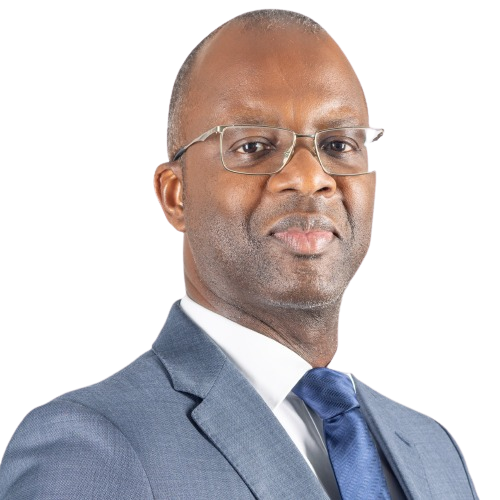 Hélder Miguel P. J. de Aguiar